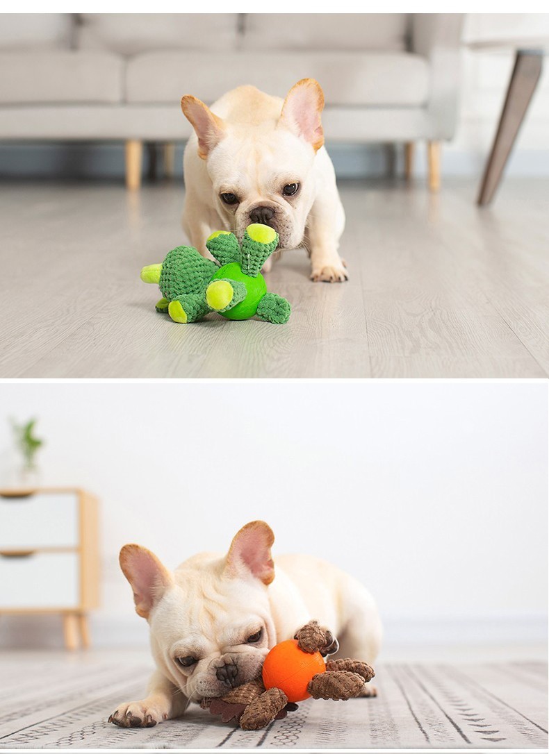 宜特 Eetoys 狗狗玩具宠物金毛泰迪耐咬磨牙漏食球卡食器耐咬磨牙棒洁齿互动骨头狗狗布绒玩具大号漏食球 直径7 5cm 图片价格品牌报价 京东