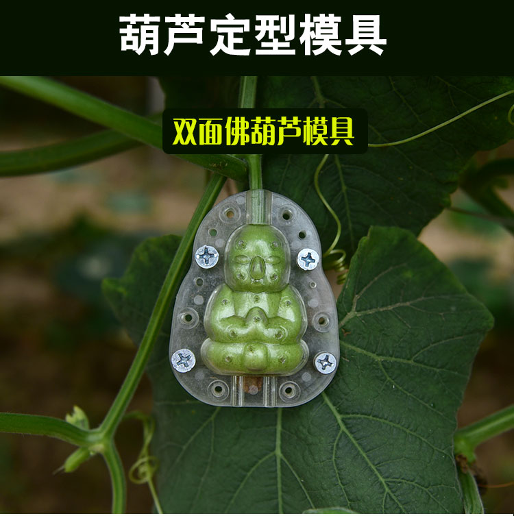 葫蘆生長定型模具塑料變形模型範制葫蘆套模模具葫蘆水果模子z5小款八