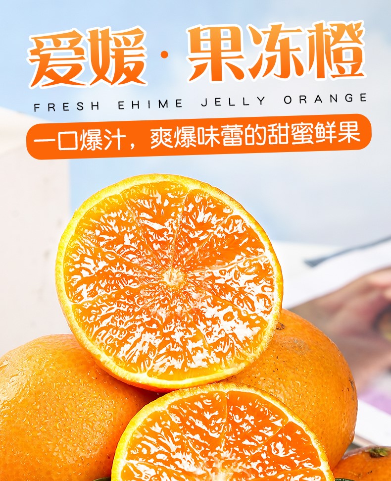 爱媛（定制改）_01.jpg