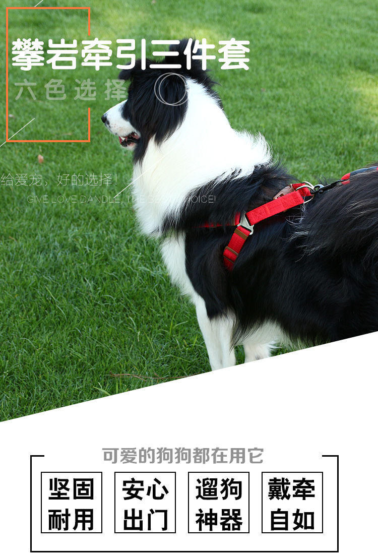 上新 狗狗牵引绳狗绳狗狗项圈狗链子遛狗绳中型小型犬泰迪博美狗狗