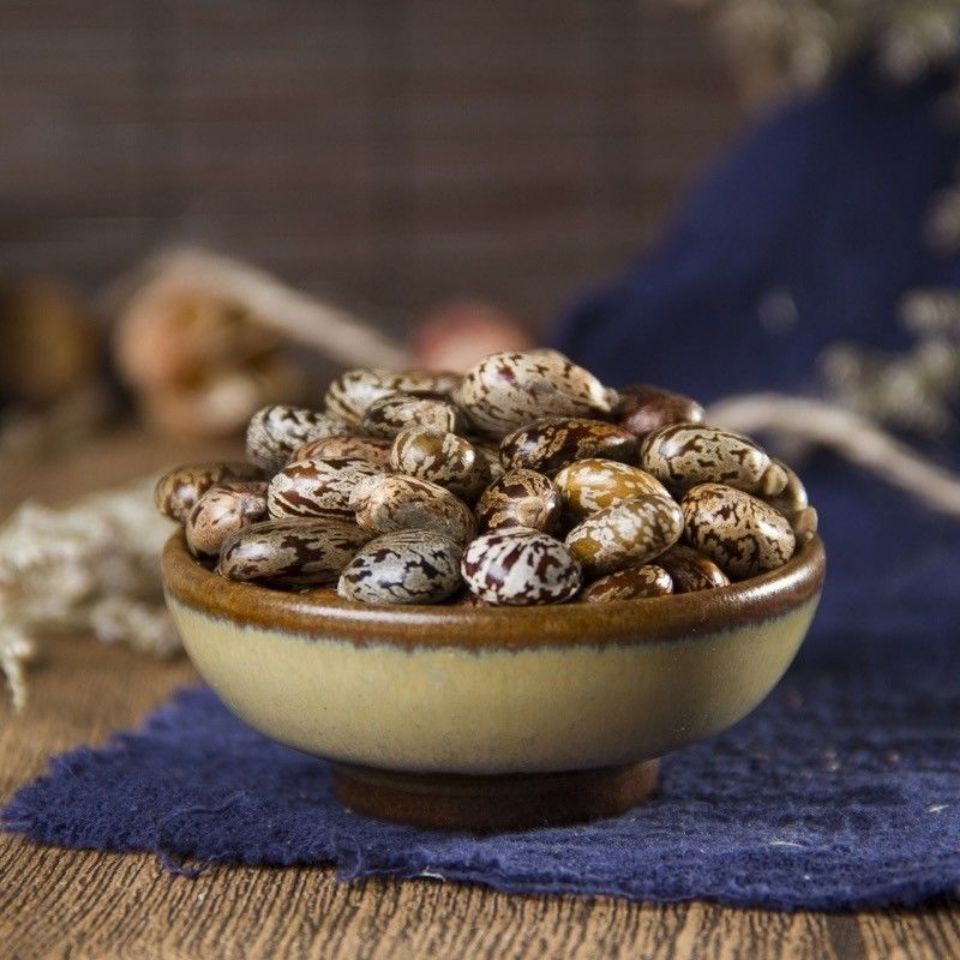 饱满大粒新货蓖麻子中药材野生蓖麻子种子篦麻子蓖麻仁 1000克【图片