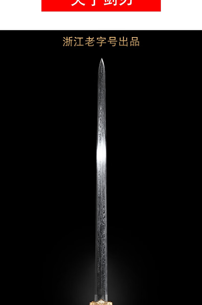 禾字号神兽玄铁剑龙泉陨铁天铁陨石宝剑越王剑查长伟大师手工作品