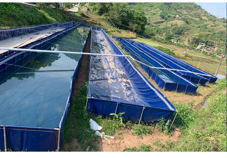 界梁山帆布锦鲤养鱼池篷布刀刮布水池箱大棚高密度养殖龙虾大型加厚