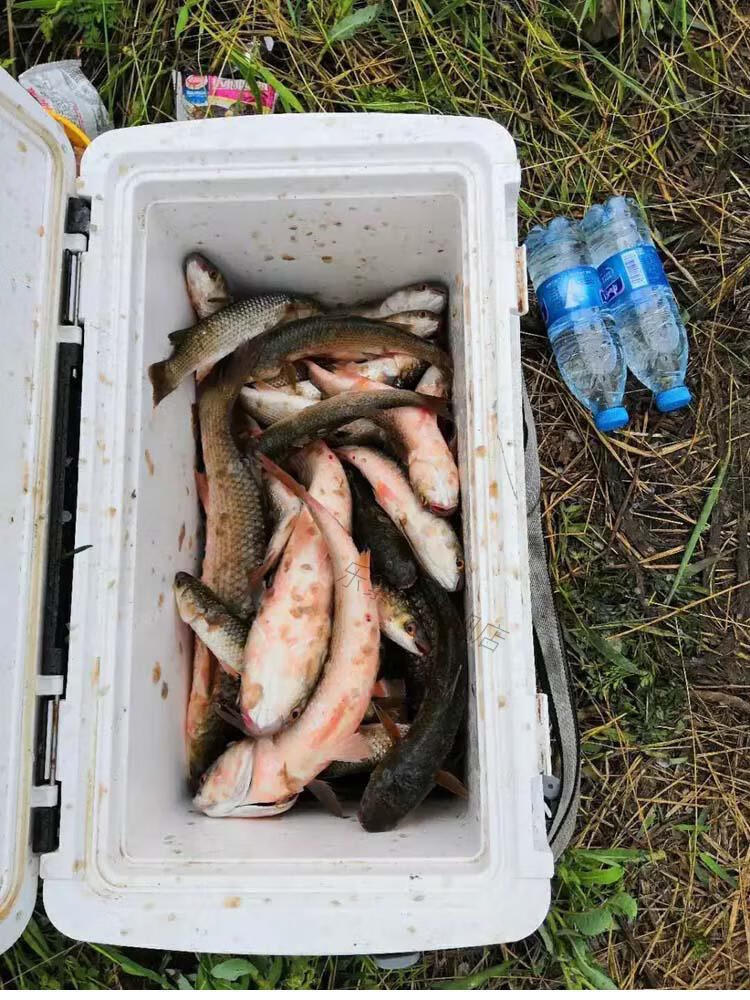 海釣狂口誘釣魚小藥黑鯛誘食劑鱸魚餌料烏頭鯔魚小藥梭魚窩料用品