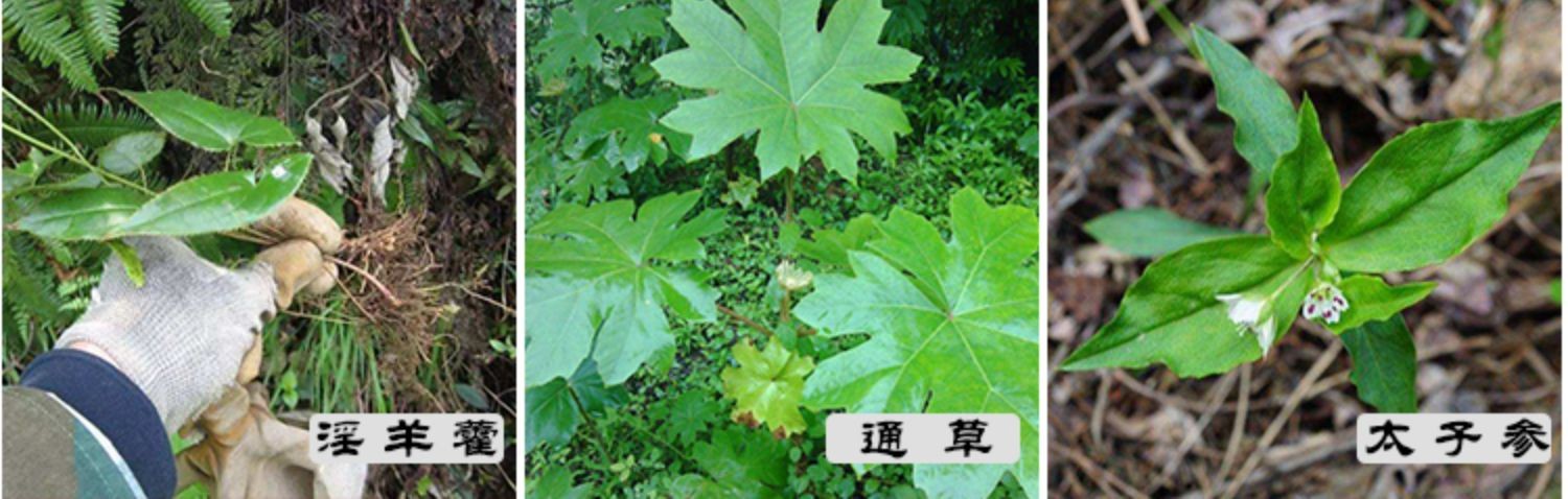 神采奕奕! 猴结 "窃国者侯"-第1张图片-培峰博客