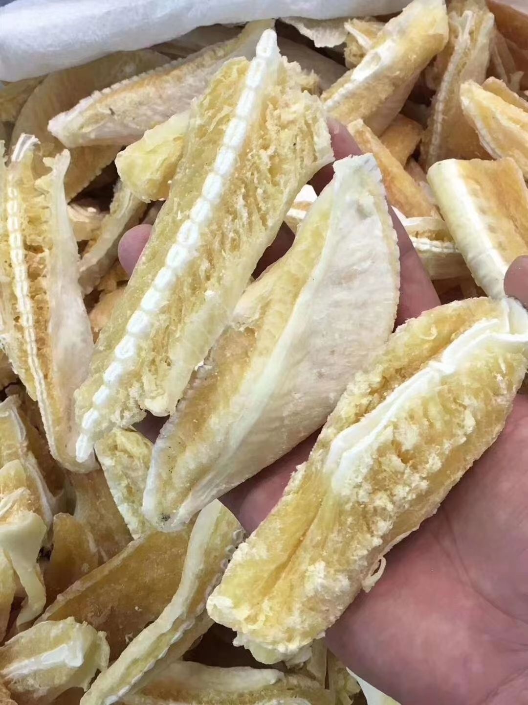 伟博鲨鱼骨边肉翅头肉边肉骨头翅骨肉500g大号翅头肉两斤