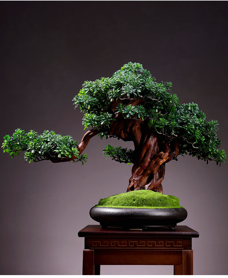 仿真植物盆景室内迎客松绿植盆栽大型假树桌面微景观装饰摆件圆圆满满