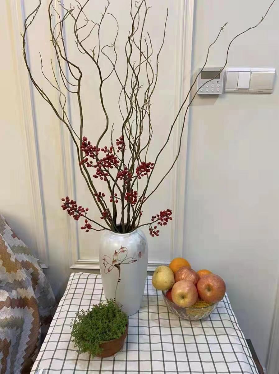 5米高【鲜龙柳】10枝 带瓶【图片 价格 品牌 报价