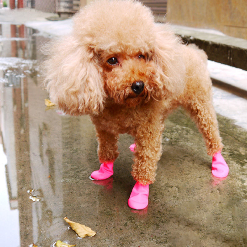 狗狗雨鞋气球脚套外出防水防滑泰迪中小型犬夏天宠物鞋粉色xs4个opp装