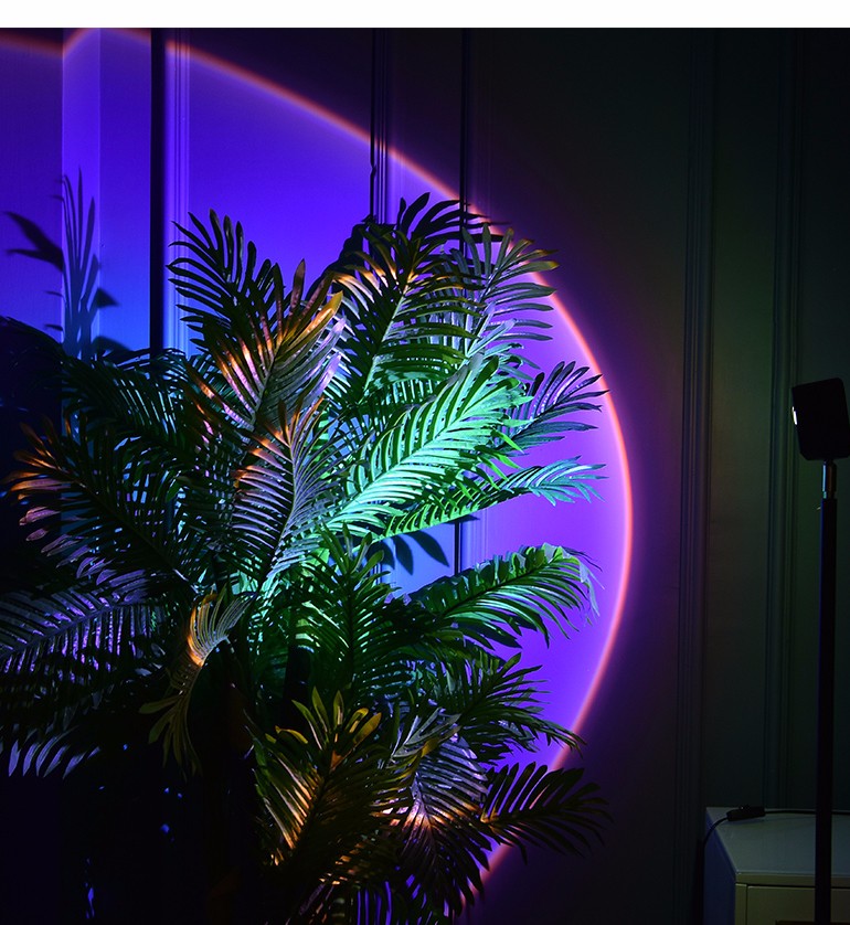 尊光落地灯网红灯饰日不落夕阳红装饰氛围灯客厅背景墙边几茶几沙发