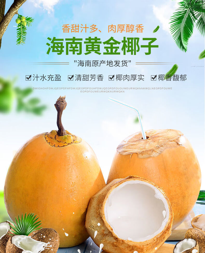 (现摘现发)海南黄金椰子 新鲜非去皮热带水果4/6/8个装多汁甘甜椰肉厚