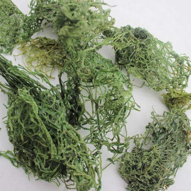 海粉中药材海粉海兔粉红海粉海挂面无硫50克