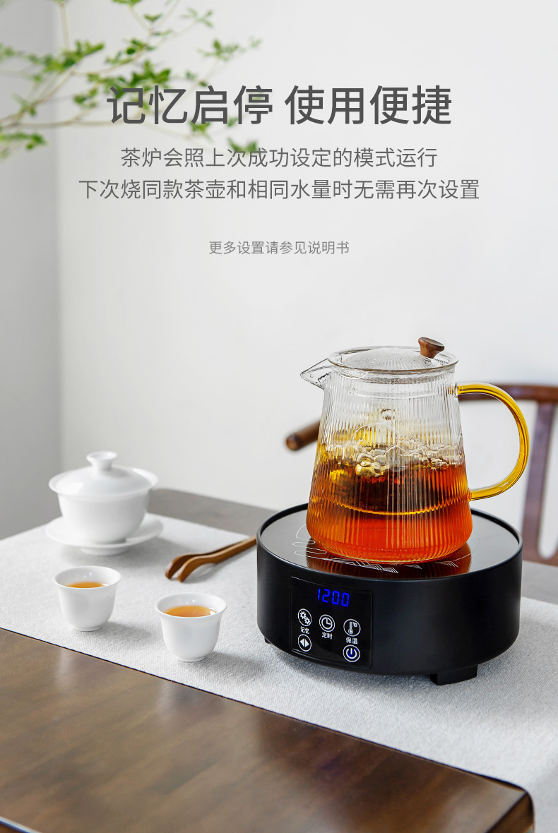 雅集茶具电陶炉煮茶器电茶炉家用办公小型煮咖啡煮茶玻璃器具套装 光
