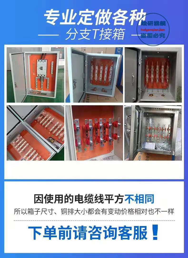 矿物质电缆t接箱bttz绝缘电缆分支箱铜排t接转换箱接线端子分流箱bltp