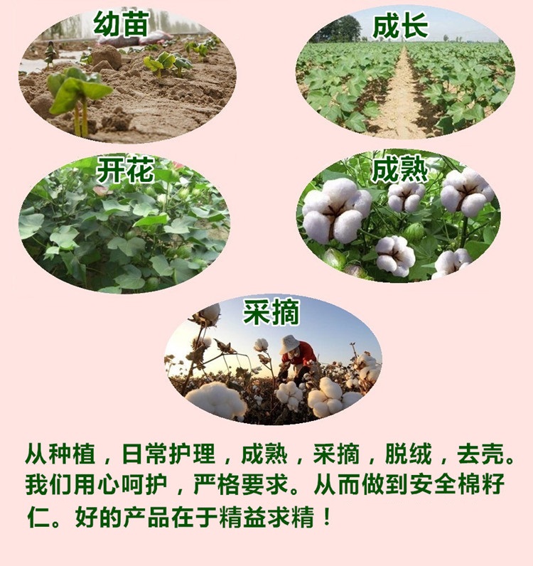 棉花籽棉籽仁棉仁棉花棉花子种子去壳偏方可食用带绒带壳棉籽1斤