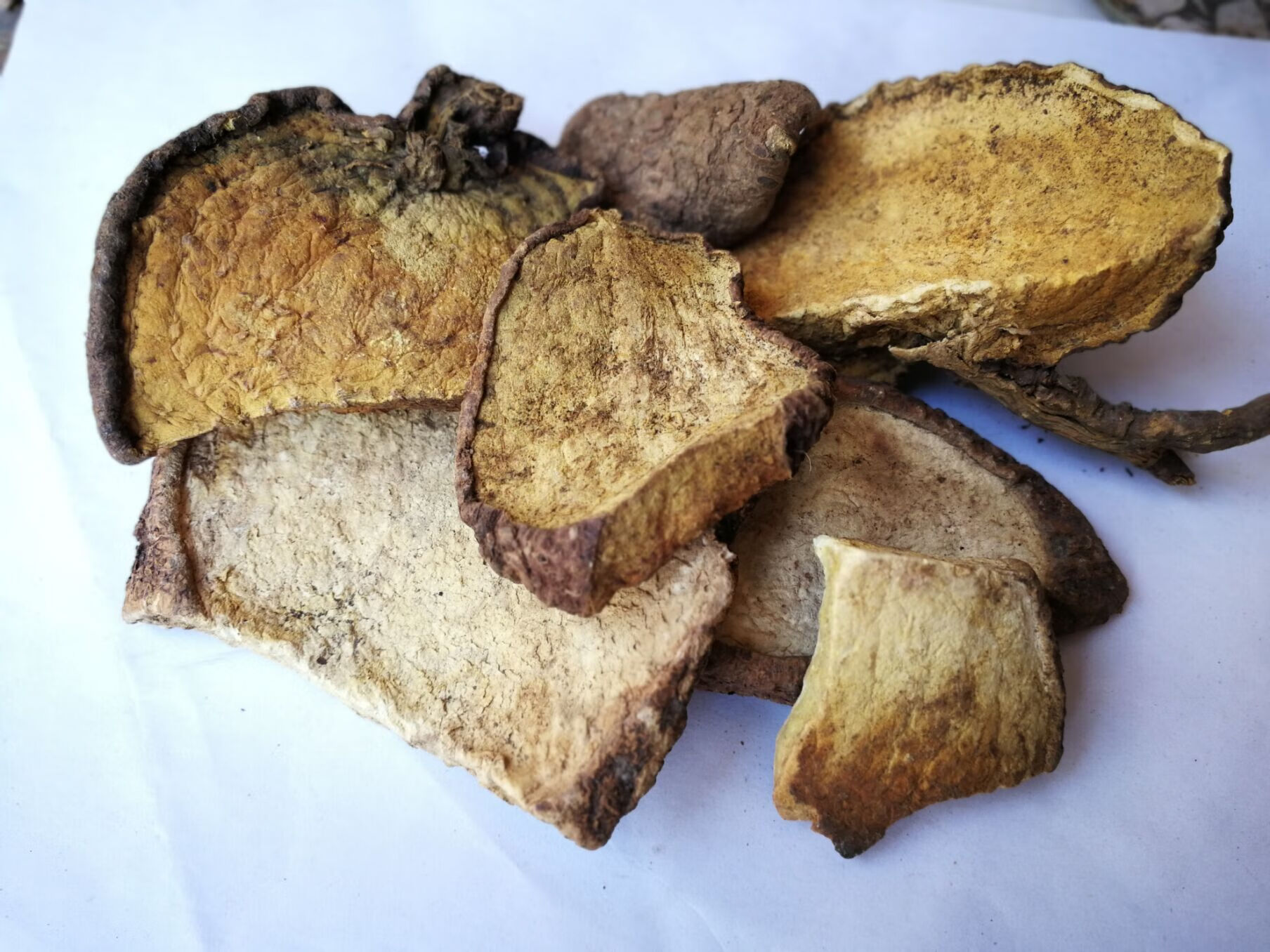 千金藤根地不容山乌龟500克 野生金不换广西食用药用中草药【图片