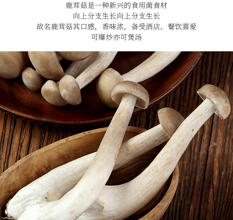 鹿茸菇500g【圖片 價格 品牌 報價】-京東