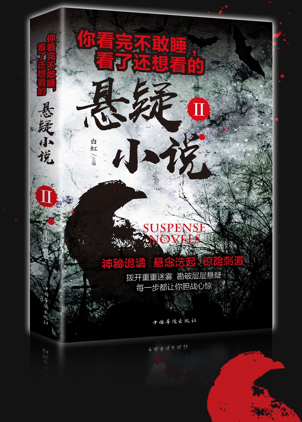 你看完不敢睡 悬疑小说2 侦探推理书科幻灵异书悬疑惊悚恐怖小说鬼