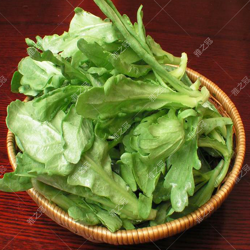 大叶茼蒿种子高产皇帝菜种籽耐热耐寒春季四季播夏季秋季蔬菜种孑