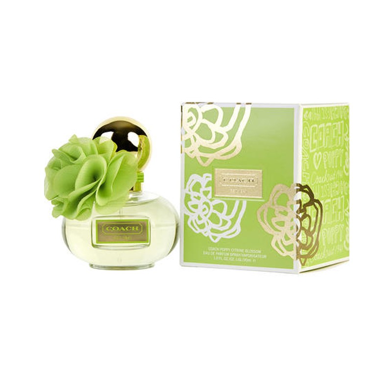 小众香coach蔻驰经典同名女士香水newyork女士香水edp50ml