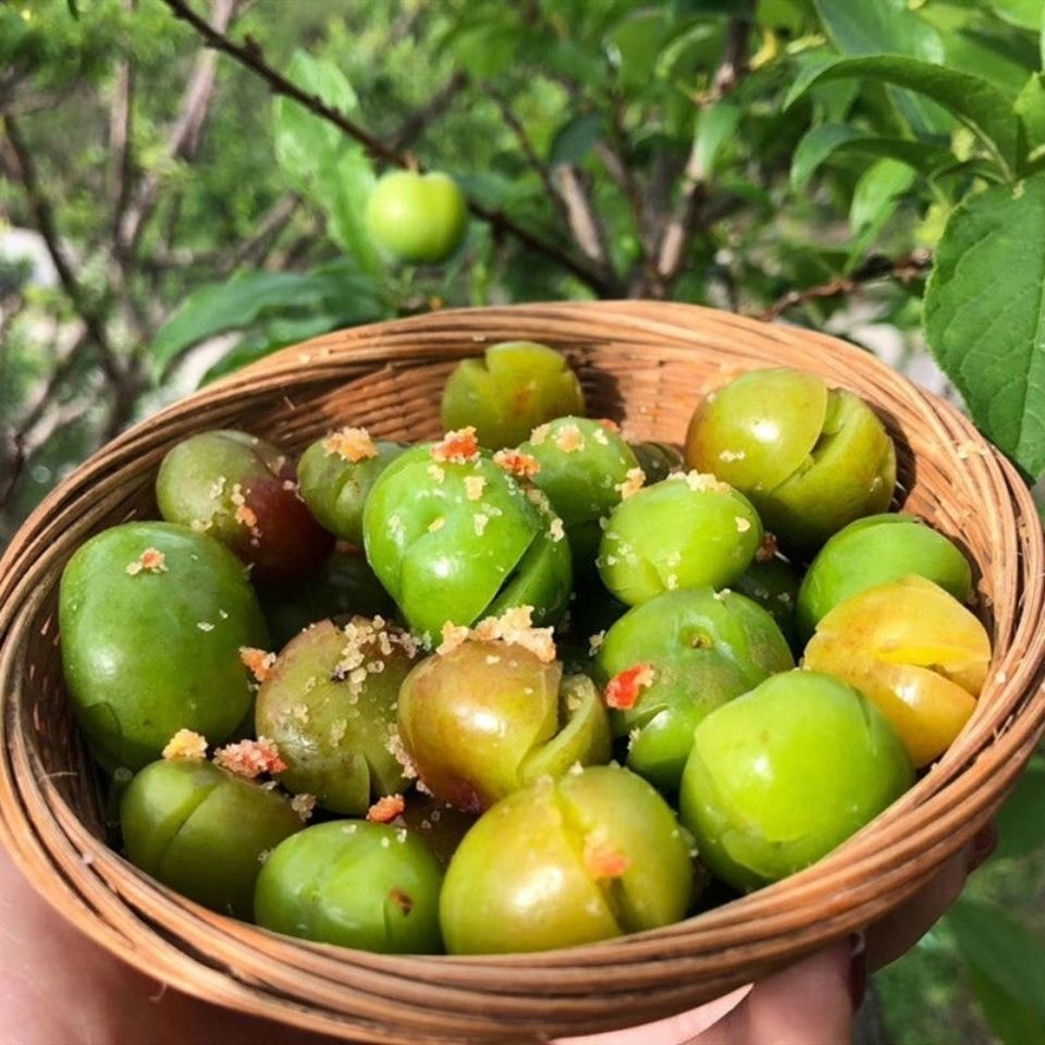 预售新鲜现摘李子水果酸李子三月李酸脆青李子当季整箱精选中果2斤酸