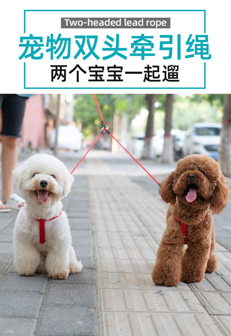 一拖二狗狗牵引绳狗绳子遛狗小型犬泰迪背心式宠物比熊两只双牵引