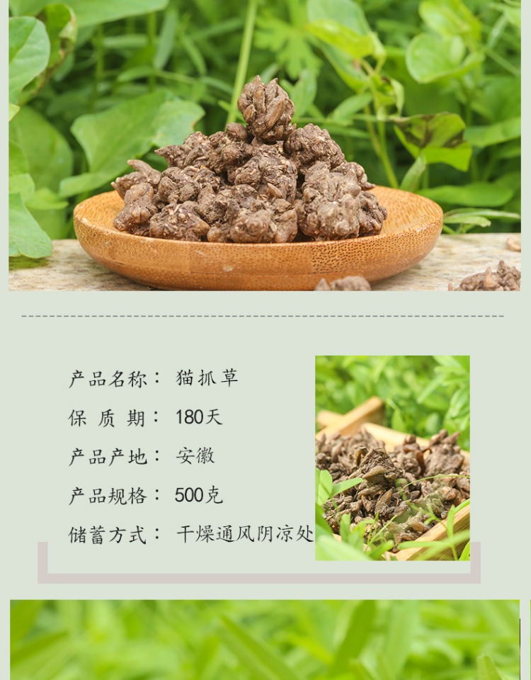 中材 貓爪草中貓爪草新鮮 貓抓草水洗貓爪草500g【圖片 價格 品牌