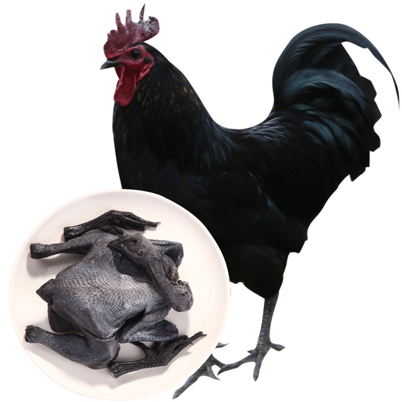 f9 散养乌鸡公鸡农家土鸡 新鲜五黑鸡散养土鸡 1100g