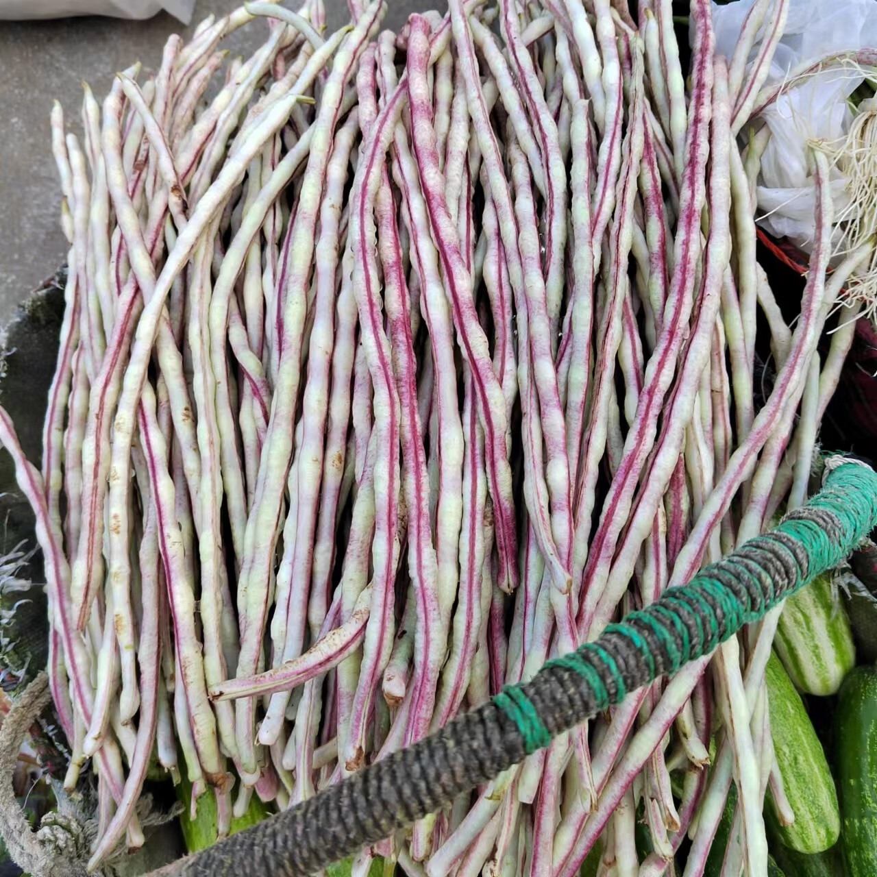 轻恋 贵州农家自种紫红长豆角新鲜嫩红豆角豇豆紫豆角草里爬红豆角现