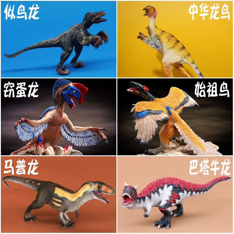 定制美颌龙儿童恐龙玩具套装中华似鸟龙模型动物马普龙男孩定制家庭装
