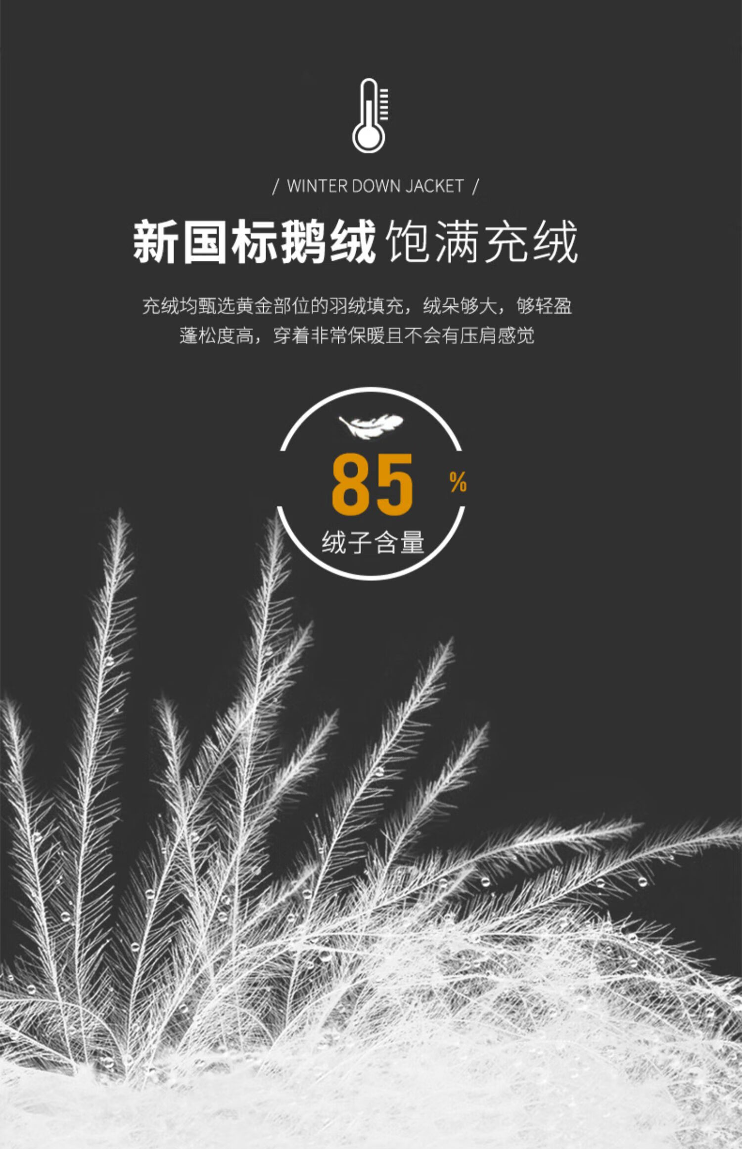 e951590e7352ef07.jpg