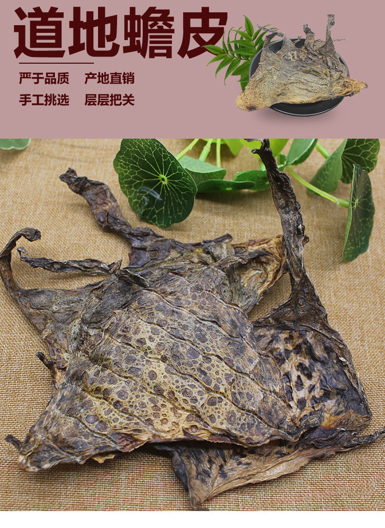 有仁堂整张 蛤蟆皮 活体干 癞蛤蟆皮蟾蜍衣 可磨