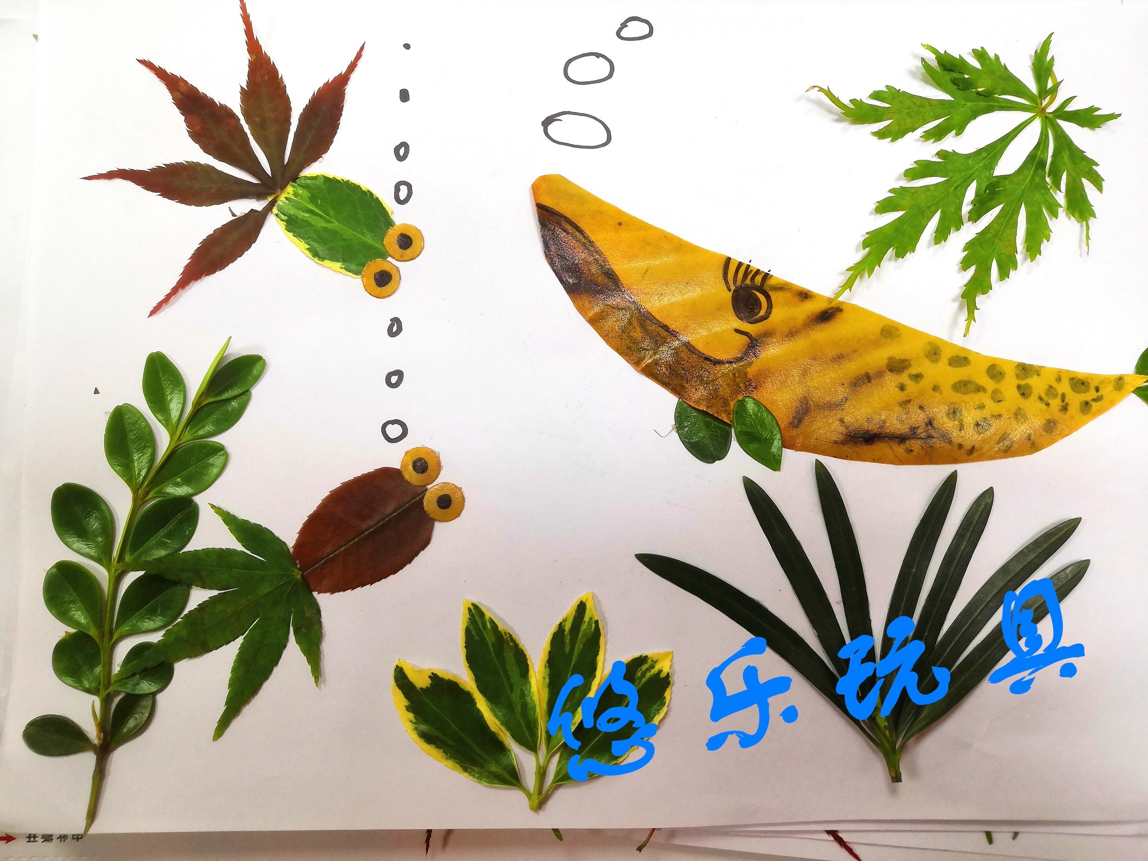 【官方京选】树叶粘贴画树叶贴画幼儿园环保手工创意粘贴作业diy天然