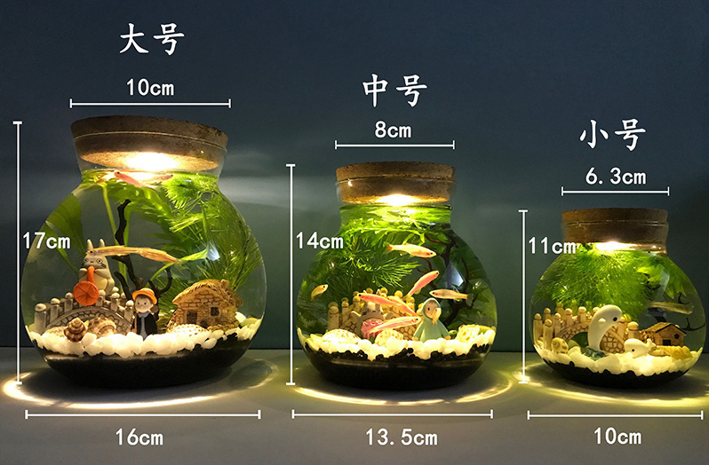 生态瓶微景观水族箱造景斗鱼缸创意缸办公桌面书桌客厅观赏玻璃缸