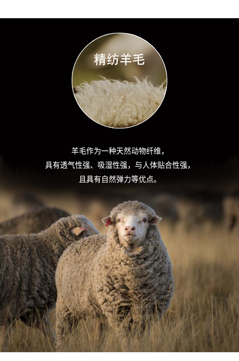 b6b465d2080d7c42.png