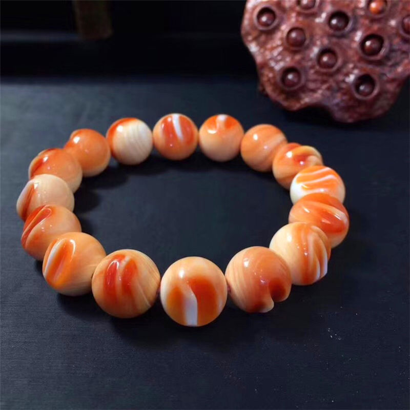 血贝壳万宝螺手串 巨型珠满齿手链 粒粒带血槽男女款v7 12mm