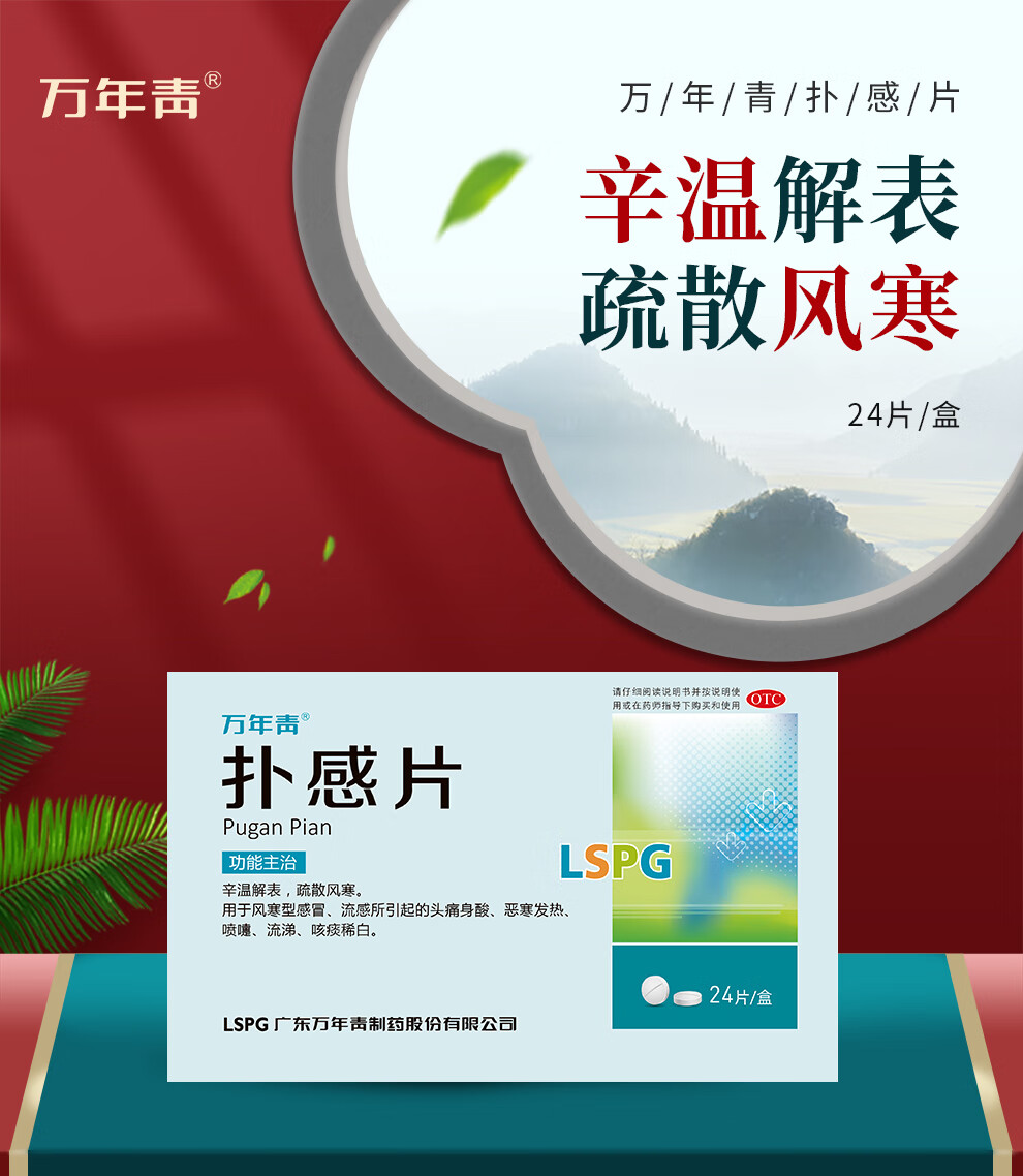 万年青 扑感片24片 风寒于流涕身酸恶寒发热打喷嚏 咳痰稀白症状治