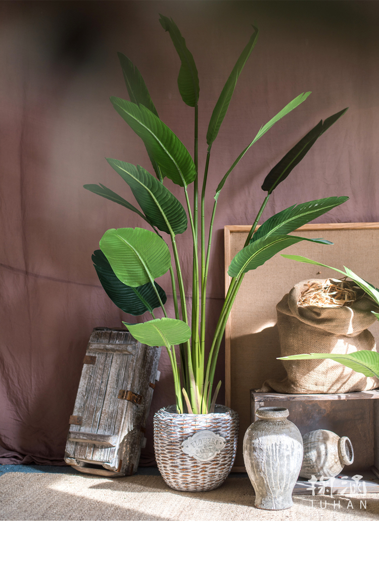掬涵 旅人蕉大型仿真热带植物盆景芭蕉地面空间装饰花艺造景 旅人蕉1.