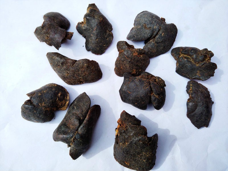 伟博伟博经方源 獭肝 水獭肝 水狗肝中药材500g【推荐】 图片色【图片