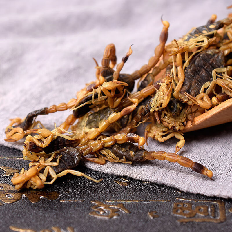 渝逹中药 清水蝎子 药用无盐泡酒 干度佳 八九成干100克划算