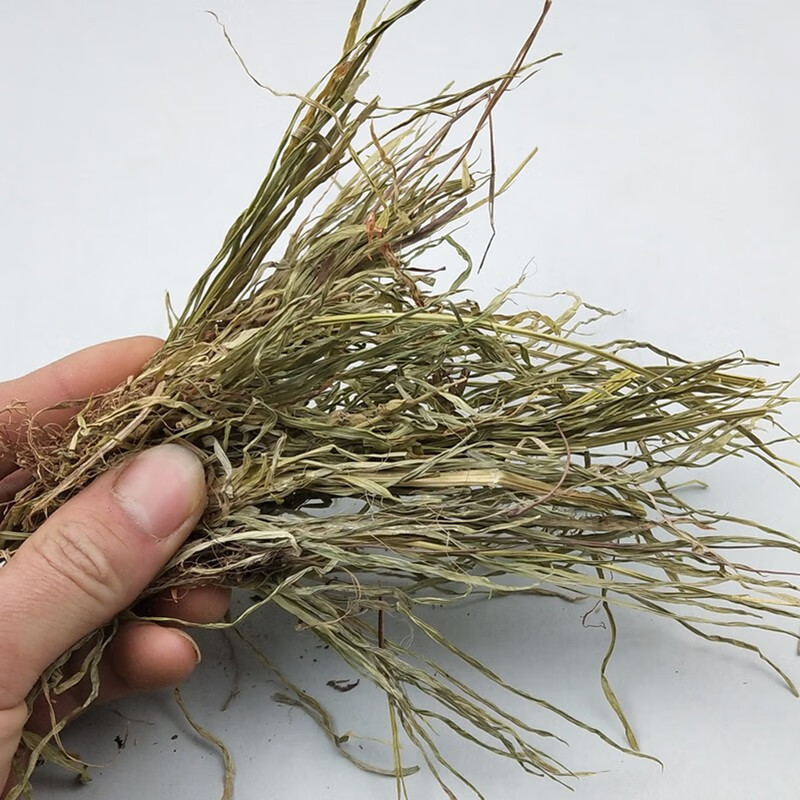 伟博精选肺筋草500g中药材肺筋草肺心草肺经草中草药推荐图片色