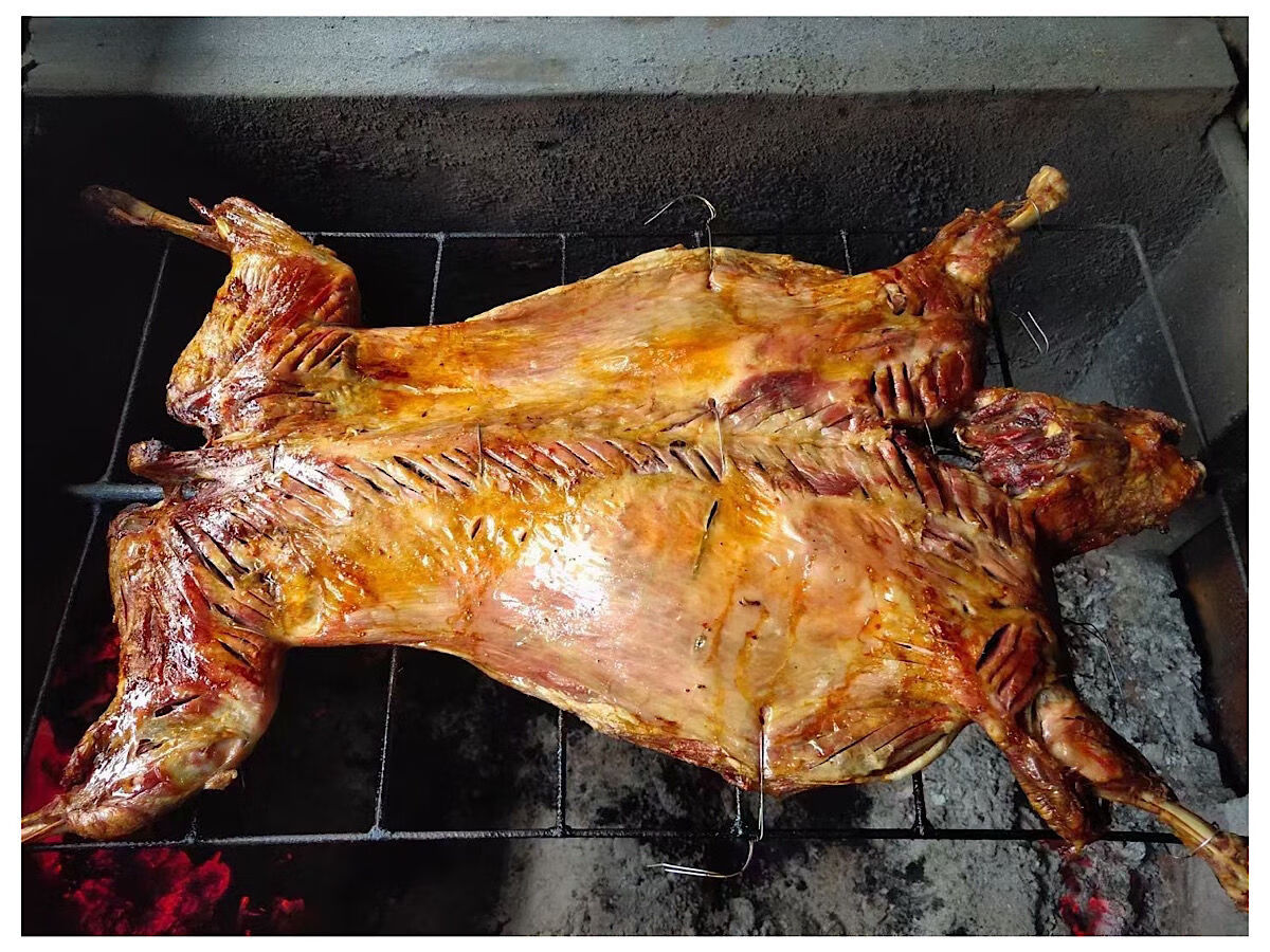 清真新鲜羊肉批发羊羔肉山羊绵羊整羊整只烤全羊整体现宰生食11月6日