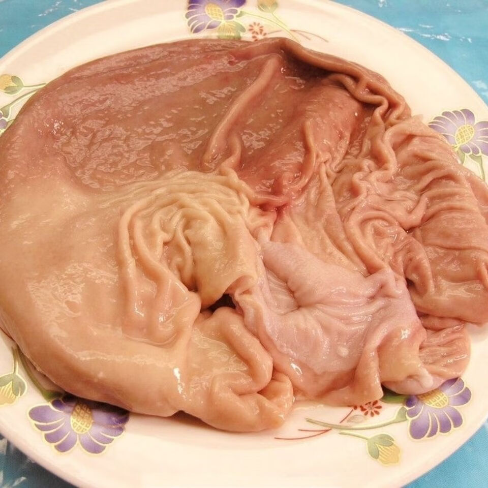 顺丰冷冻半熟猪肚子猪肚熟猪肚去油新鲜免洗猪肚价2个整肚2斤左右