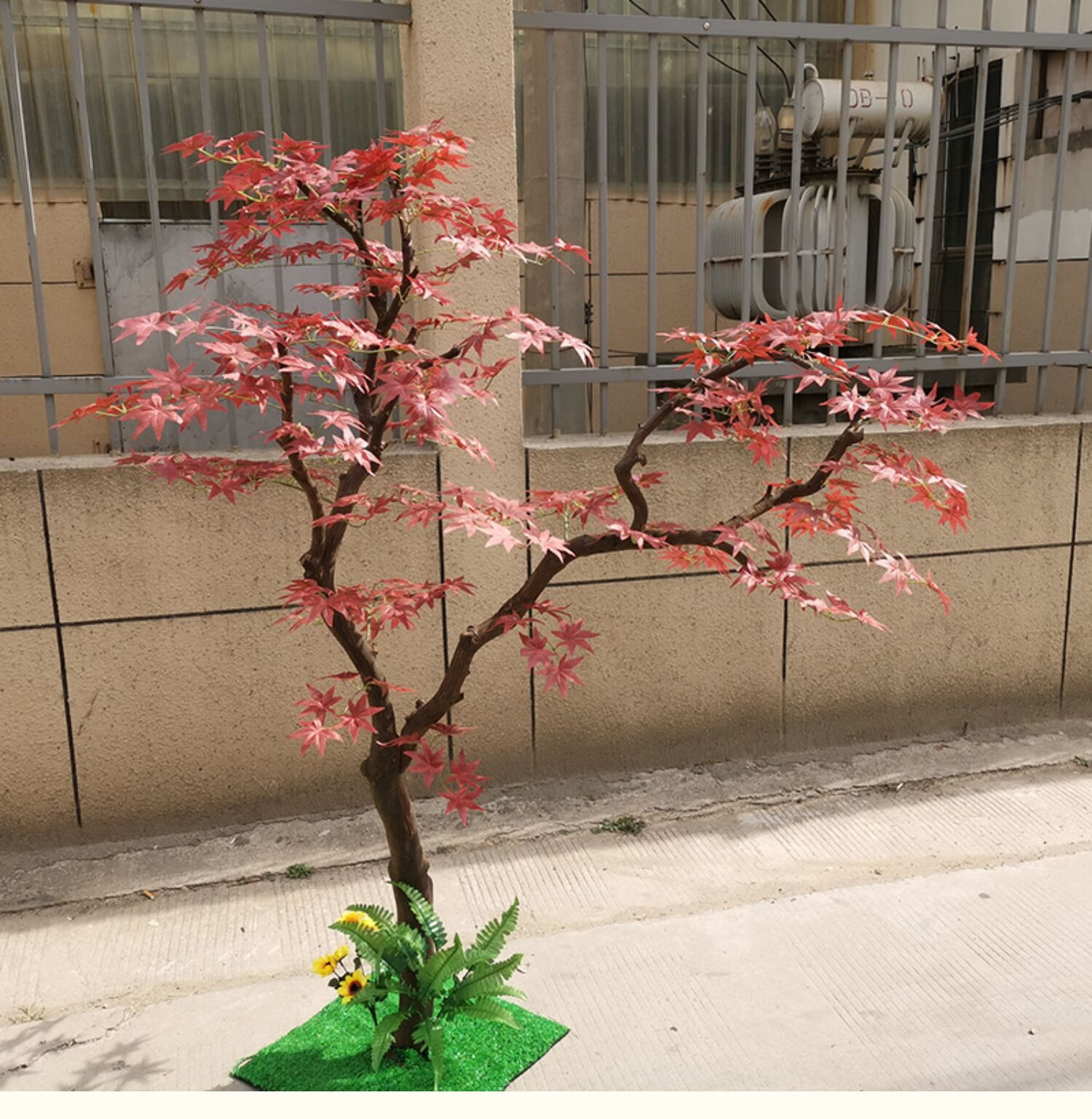 菲落 仿真枫树鸡爪槭日式庭院造景餐馆落地摆放橱窗室内装饰假树 高2