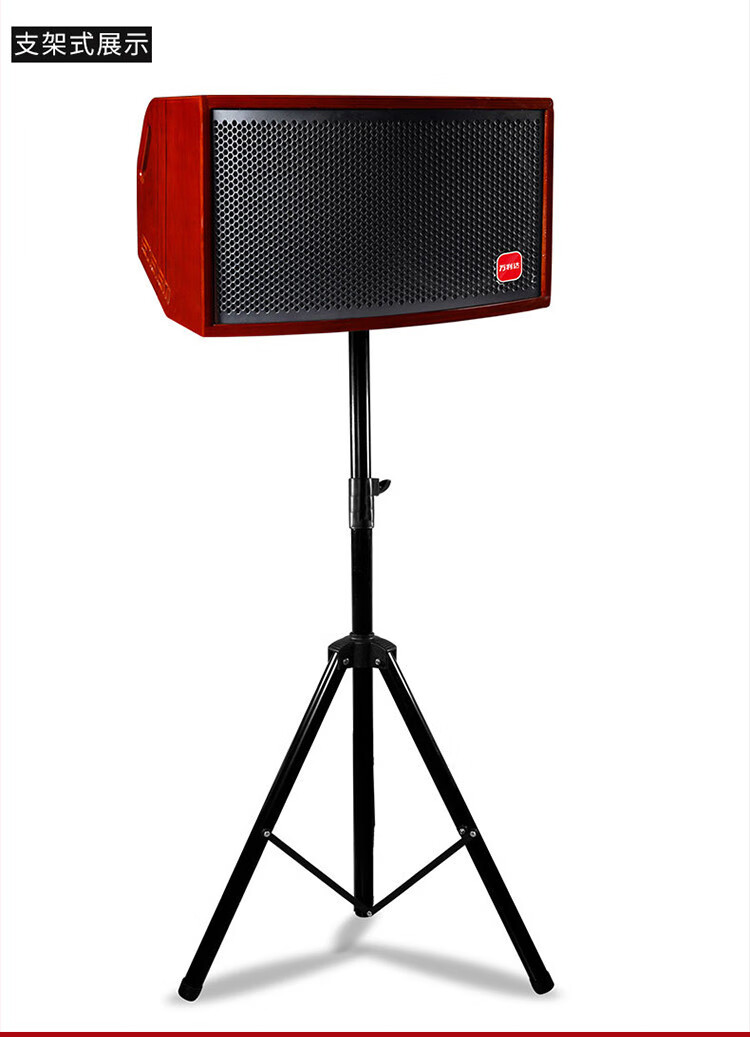 蓝牙k歌手提背带吉他乐器萨克斯钢琴架子鼓单8寸专业户外乐器音响240w