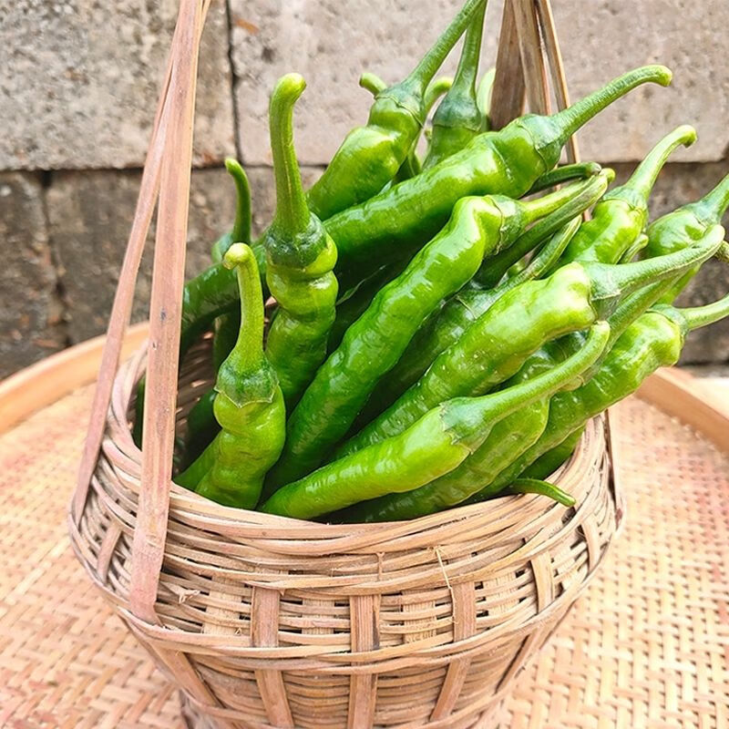 现摘新鲜线椒二荆条辣椒薄皮中辣广西农家种植蔬菜长尖椒 新鲜青线椒9
