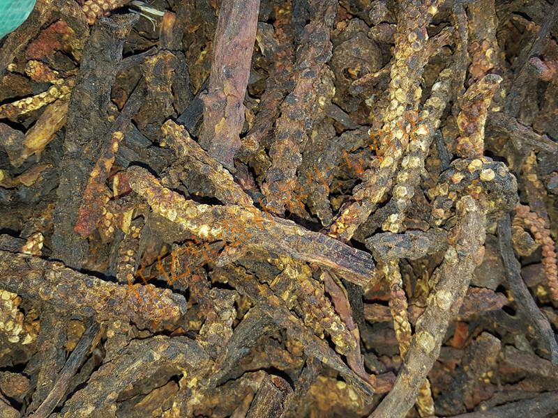 顶天柱霸花虎鞭草500克