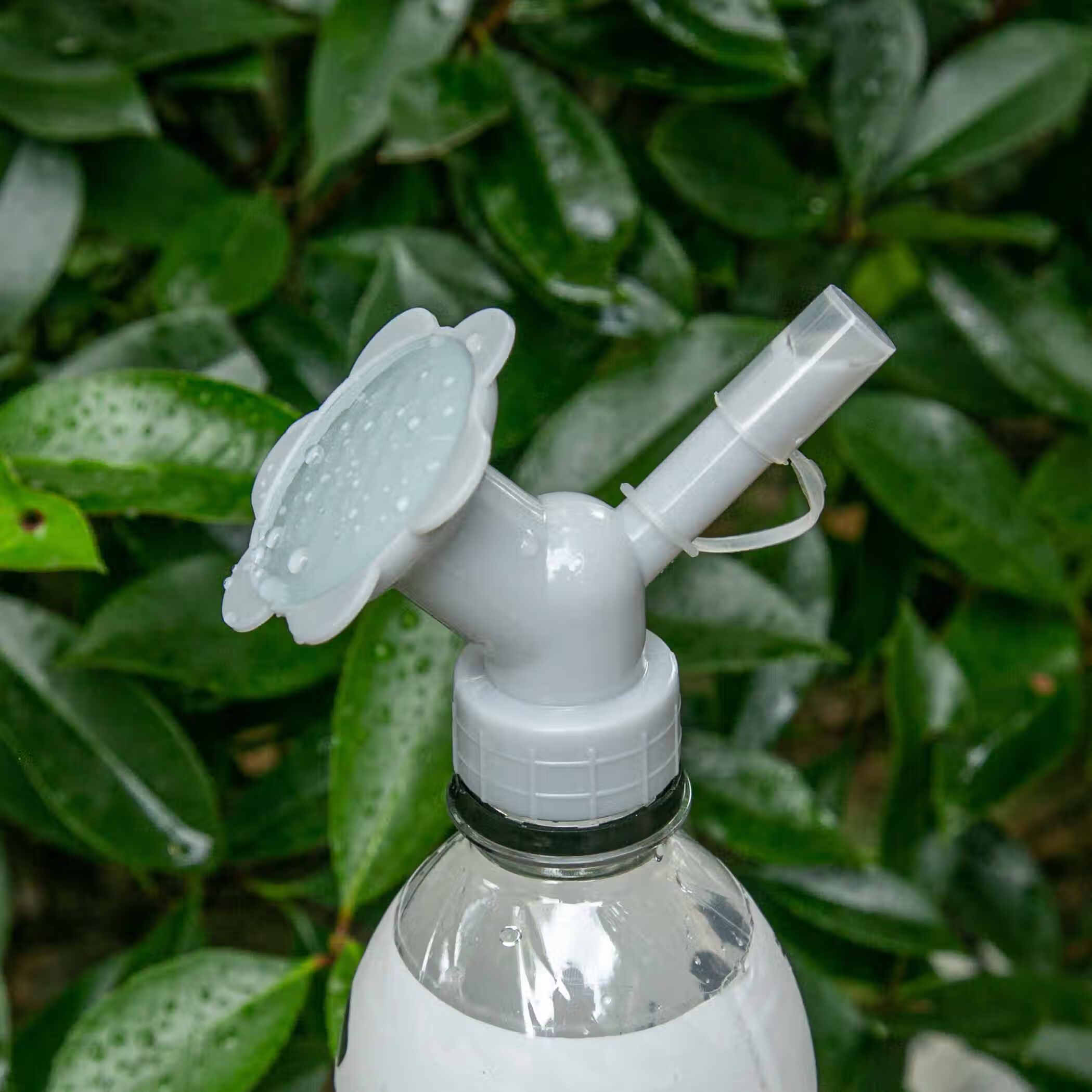 浇花喷嘴头可用可乐瓶瓶口洒水头饮料瓶两用花洒喷头太阳花喷壶头