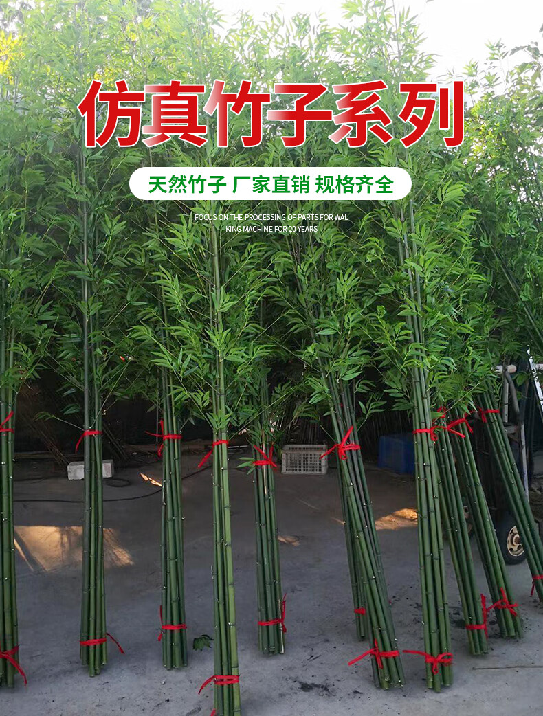 6枝1米竹子 50x20cm底座【图片 价格 品牌 报价】-京东