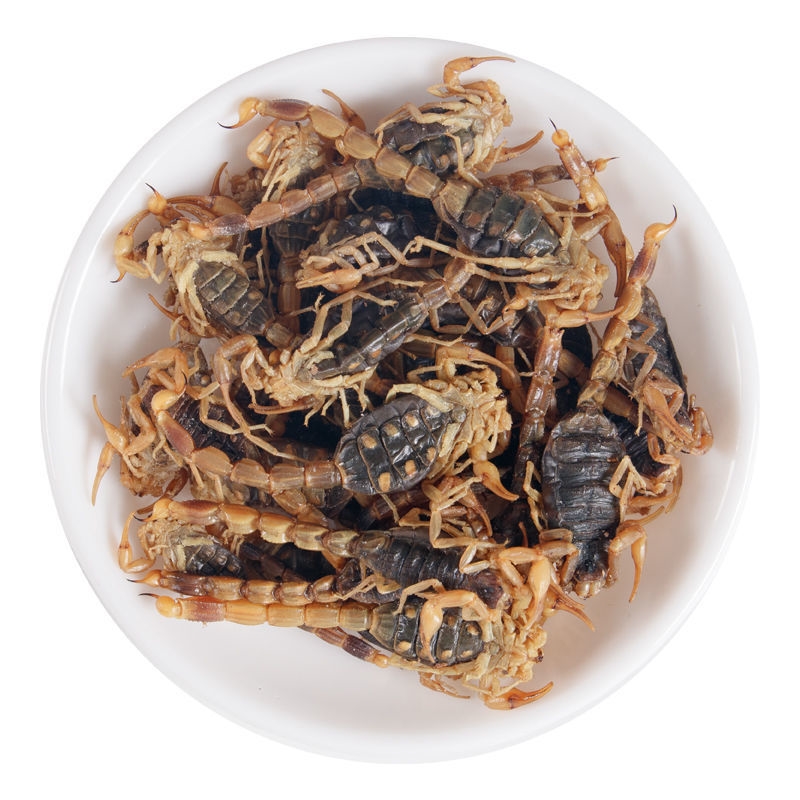 全蝎中药材全蝎干蝎子蝎子蝎子散装淡盐新货无硫 【全干】清水全蝎 10